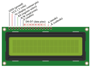 LCD pin out