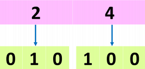 Octal to Binary conversion of 24 as 10100